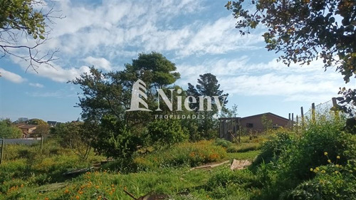 Terreno En Los Pinos, A Pasos De Los Almendros. Reñaca