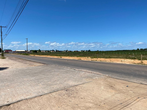 Imagem 7 de 10 de Loteadora Caburé Vende Excelentes Terrenos Na Avenida Principal De Barra Do Ribeiro (venda Direta)!!!