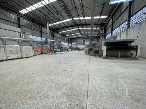 Imagem 7 de 15 de Excelente Galpão - 1400m² - Ramo Alimentício - Vila Lucia - São Paulo - 6726
