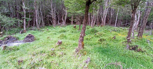 A 16 Km De Rio Tranquilo, Campo 100 M2 Orilla De Rio.
