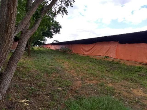 Imagen 10 de 30 de Jose Lopez Ofrece Finca ( Granja Avícola / Agrícola ) En Venta Vía A Duaca Caserio Guayabal Cordero Lara, Venezuela ,j G L Rent - A - House Telf. 0414-5533925 Cod # 22-16836 $ 15000