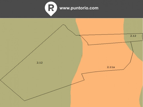Punto Río | 83 Hectáreas Forestadas