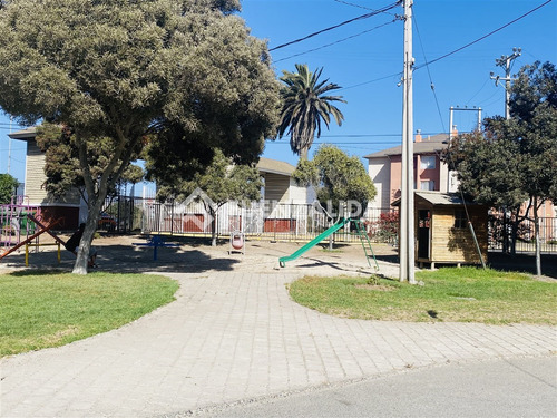Departamento En Venta De 3 Dorm. En Coquimbo