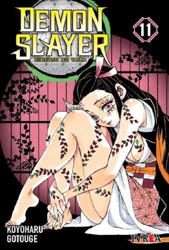 Demon Slayer 11 - Gotouge Koyoharu (papel)