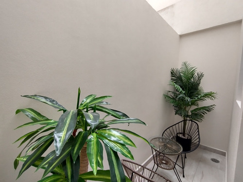 Imagen 5 de 14 de Departamento Pre Venta En Col Santo Domingo Coyoacan