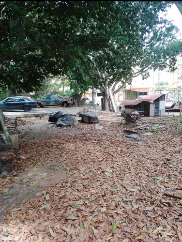 Vende Terreno Monte Alegre. M.c.