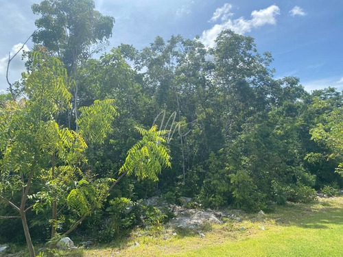 Imagen 6 de 6 de Oportunidad, Terreno En Venta En Cancun Residencial Via Cumb