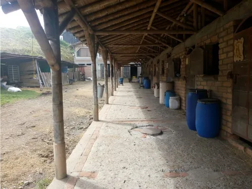 Lote Con Renta En Venta En Alto Tablazo Manizales