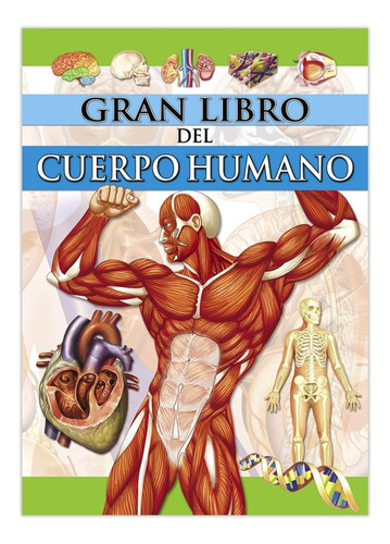 El Gran Libro Del Cuerpo Humano