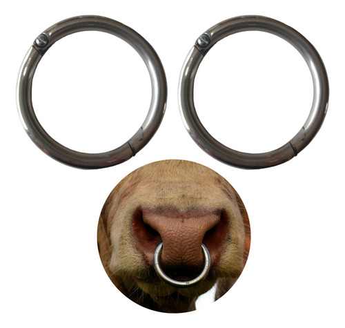 2 Argolas Formiga Resistente A Ferrugem Para Boi Ou Bezerro