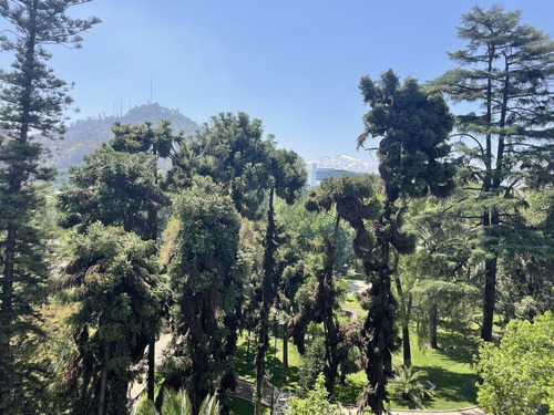 Gran Departamento Con Vista Al Parque Forestal