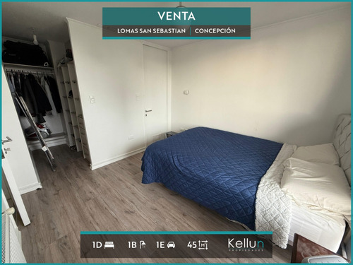 Departamento En Venta 1d | 1b | 1e En Lomas San Sebastian