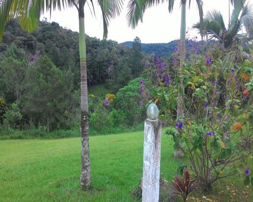 Imagem 6 de 30 de Sítio - 0123 - 32820344