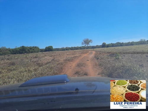 Imagem 7 de 15 de Fazenda Venda Em Pium - To - De 186 Alqueirões (dupla Aptidão) - 1478