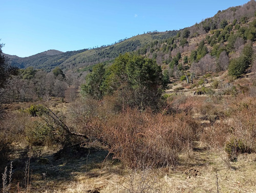 Venta Parcela Panqui (174090)