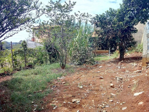 Imagem 5 de 11 de Terreno À Venda, Residencial Vale Das Nogueiras - Americana/sp - 314