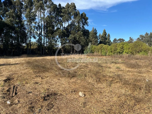 Sitio En Venta En Santo Domingo