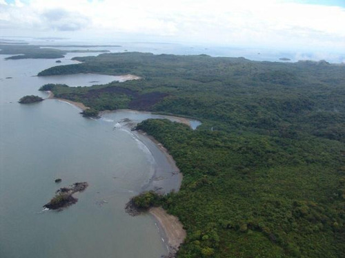 Venta De 43 Has De Terreno En Isla Del Rey, Taboga 21-2193