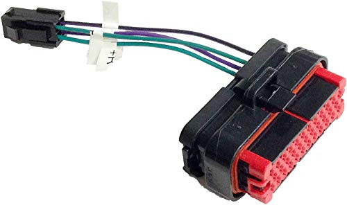 Salida Conector Para Altavoz Trasero Audio Avanzado