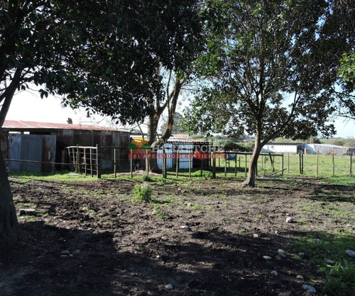 Imagen 7 de 21 de Chacra En Venta, 3 Has En Los Cerrillos, Casa Y Galones, Sobre Ruta!