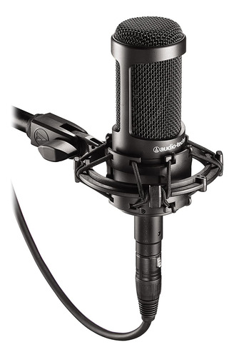 Microfono Condensador Premium Studios Audio-technica At2035