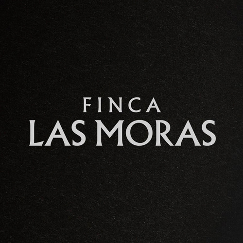 Vino Tinto Alma Mora Merlot Vendimia Finca Las Moras 750 Ml