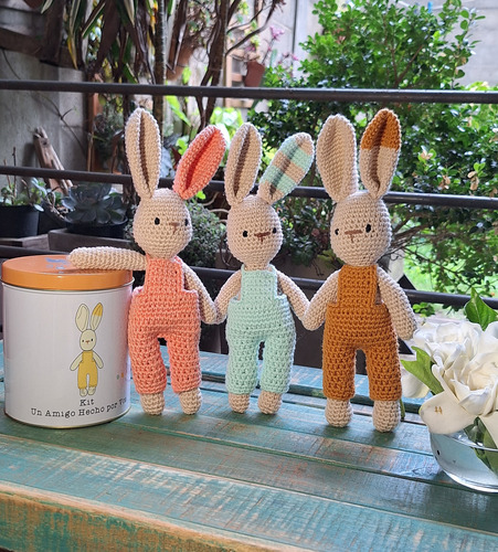 Set O Kit De Amigurumi Conejo.