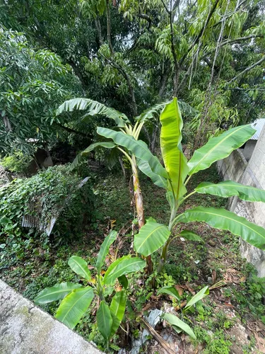 Casa En Obra Negra Con Cuartos Y Terreno Disponible