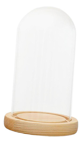 Mox Cúpula De Vidrio Cloche Bell Jar Base De Madera 7x12cm