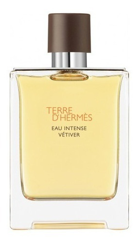 Perfume Terre D'hermès Eau Intense Vetiver Eau De Parfum 100