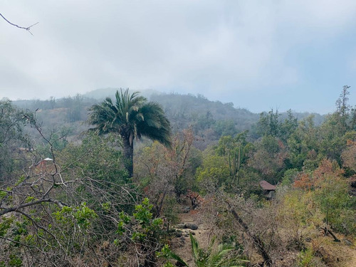 Venta De Parcela En Oasis De La Campana