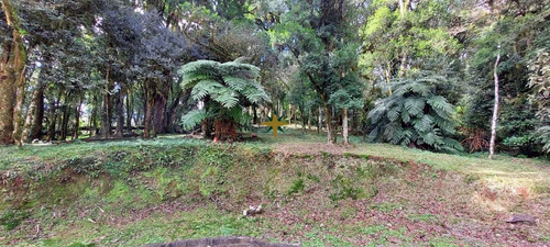 Imagem 1 de 16 de Terreno A Venda - 1083