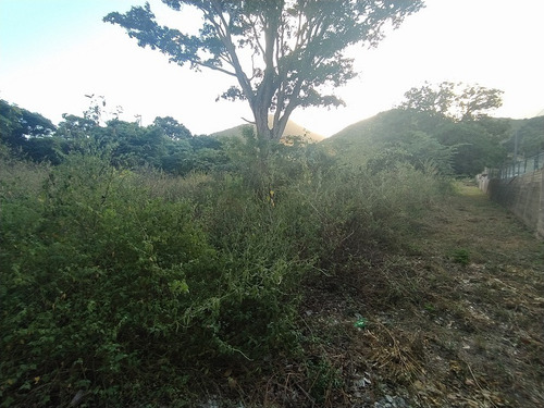 Imagen 2 de 7 de Terreno En La Fuente A Pie De Montaña