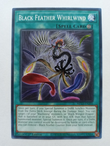 Black Feather Whirlwind - Common    Mp23
