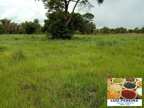Imagem 8 de 15 de Fazenda À Venda No Vale Do Araguaia - To - De 22 Alqueirões (dupla Aptidão) - 1651