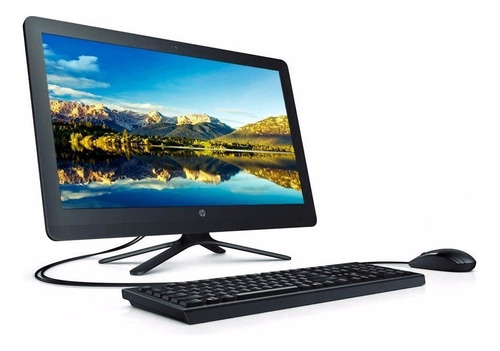 Computadora De Escritorio Desktop Hp 205 G3 All-in-one (Usado)