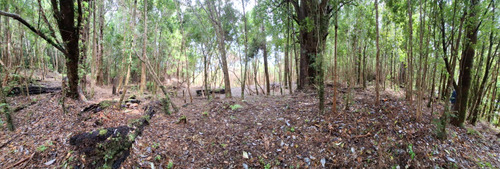 Terreno En Polincay Pto Montt, Conecta Con La Naturaleza