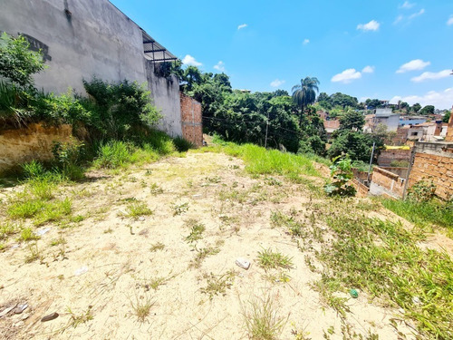 Imagem 6 de 8 de Excelente Oportunidade De Lote 250 M² No B. Verônica Em Ribeirão Das Neves. - Te00008 - 70333525
