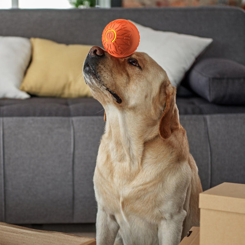 Peppy Ball Pelota Para Mascotas Para Perros Bola Eléctrica C