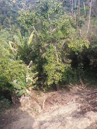 Imagem 16 de 20 de Chácara À Venda Em Mairiporã Sp - 0142 - 34968636