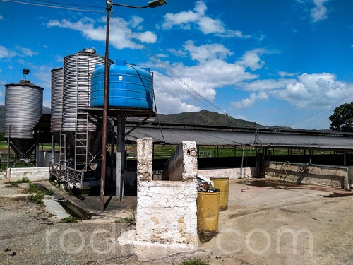 Imagen 12 de 29 de Granja Agrícola Y Porcina Turmero, De 5.7 Hectáreas 04123465023