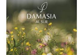 Lote E Venta En Damasia Al Sur-financiado