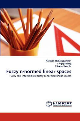 Libro Fuzzy N-normed Linear Spaces - Natesan Thillaigovin...