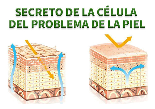 A Máscara Facial Hidratante Para Dormir Nutre Profundamente