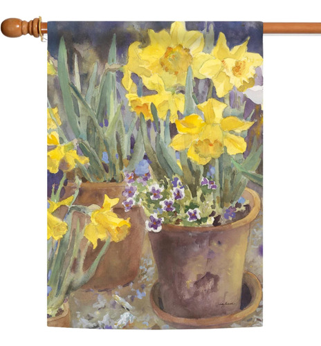 Toland Home Garden Bandera De Primavera De Narcisos En Macet