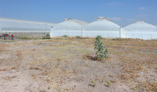 Terreno En Venta En Pedro Escobedo