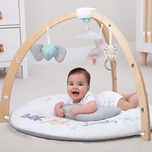 Aden + Anais Play And Discover Baby Activity Gym - 30+ Benef