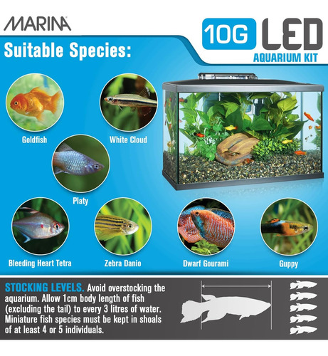 Marina 10g Led 38 Lt Kit De Acuario Con Filtro Y Lampara