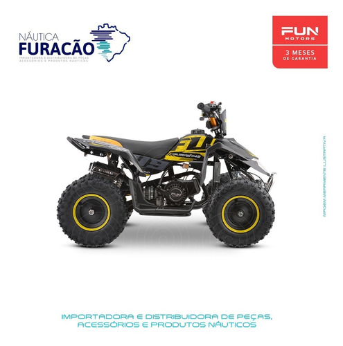 Imagem 3 de 11 de Atv Fun Motors Ligeirinho 49