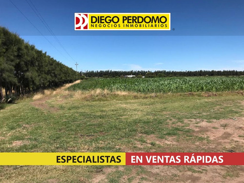 Chacra De 8,5 Has En Venta, Ciudad Del Plata